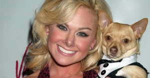 Chico, the Chihuahua Star of Broadway's <em>Legally Blonde</em>, dies at 14