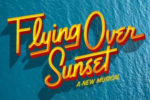 Flying Over Sunset
